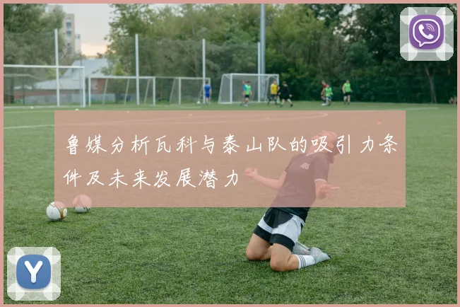 鲁媒分析瓦科与泰山队的吸引力条件及未来发展潜力