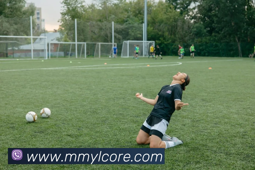 沐鸣娱乐APP 封面图